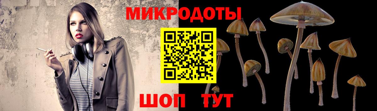Галлюциногенные грибы Cubensis  Вход с VPN  Лесозаводск 